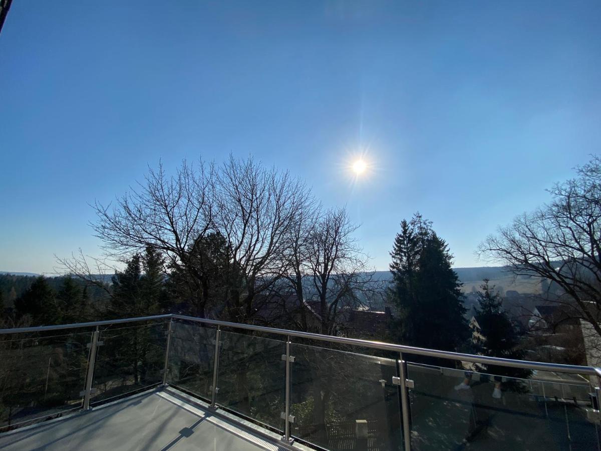 Braunlage Lodge Apartment *
